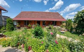 Casa de vacanta in Tara Fagarasului
